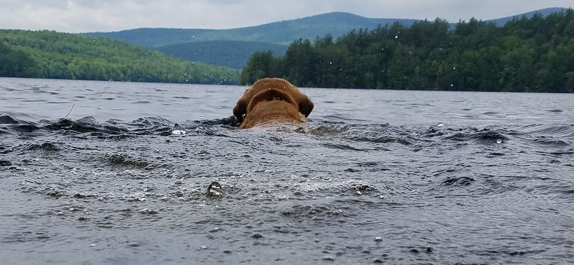 Swimming in Lake